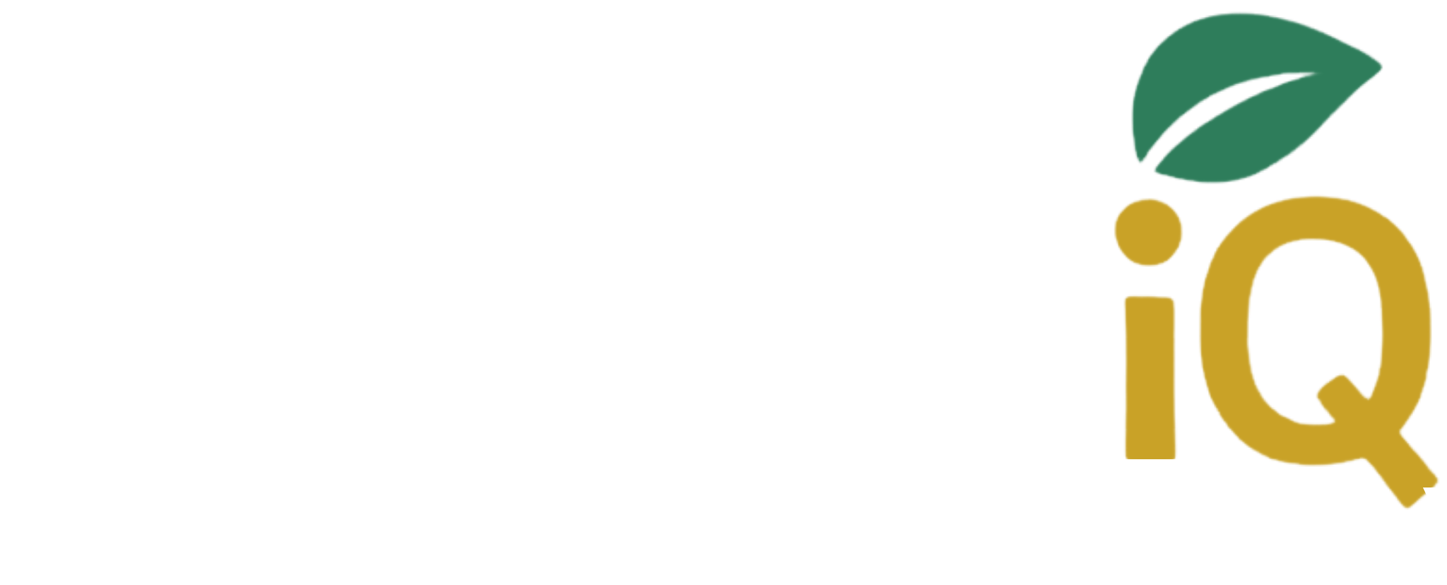 SturdyIQ Public Solutions